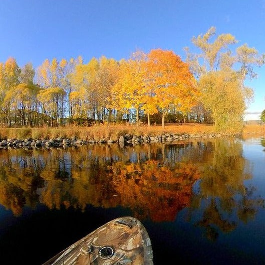 Autumn paddling on the Drammenselva